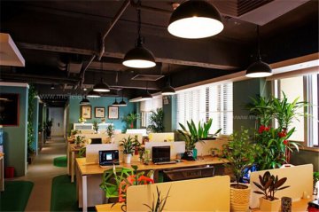办公室装修植物摆放风水